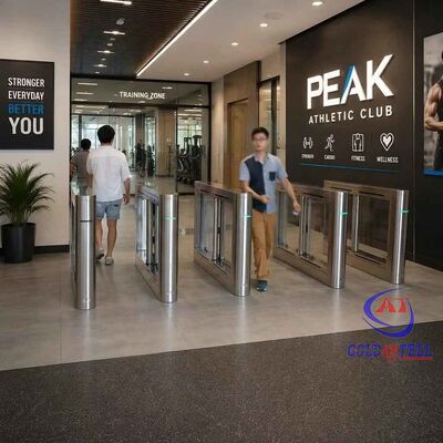 Động lực chuyển động động BLDC hai bên cho câu lạc bộ thể thao và trung tâm hiệu suất CE nhãn trắng